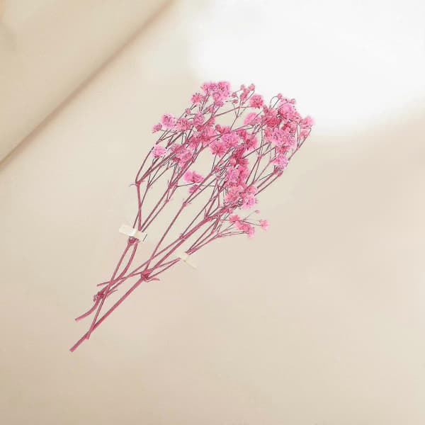 1 Set DIY Handgjorda Material Doftande Torkade Blommor Torkad Blomma DIY