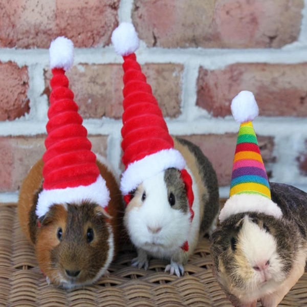 Julehatt for kanin med ørevarmere og skjerf - Lizard Santa Hat 03 03 03 3 3