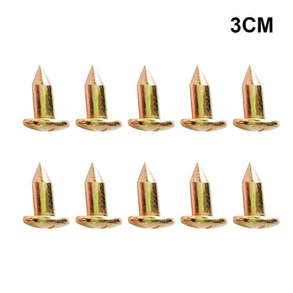 10 stk/sett 3/5/7/8/10 cm Landmålingsspiker i stål Landmålingsmarkør Grensemerke 7cm