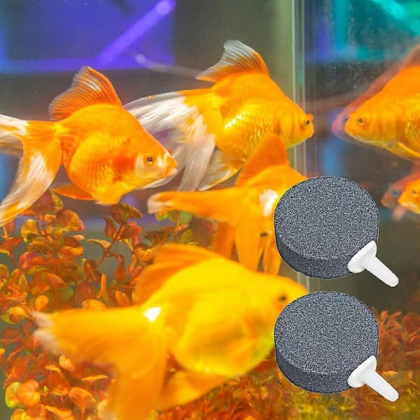 Akvarium Luftsten, Luftsten Disk, 2 stk. Akvarium Luftsten, Akvarium Luftsten Disk, Akvarium Luftsten Diffuser