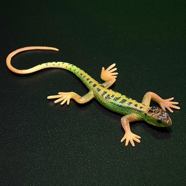 Kunstig Øgle Fadeless Levende Farverig Reptil Øgler Legetøj Festartikler Green