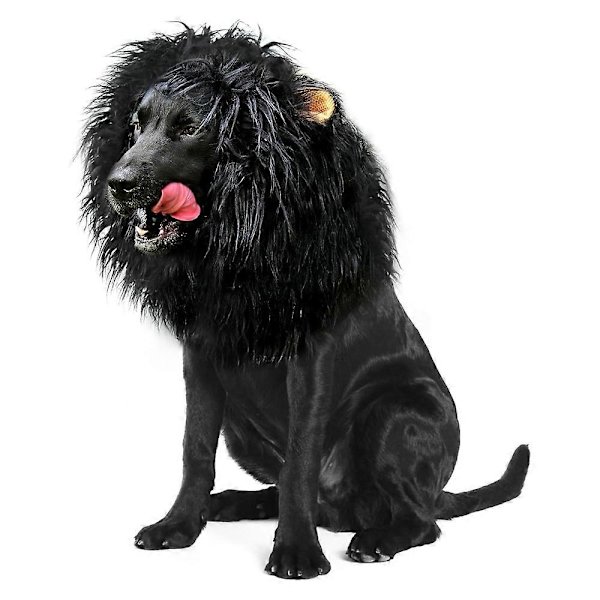 Realistsik & Rolig Lejonman för Hundar - Husdjurskläder Lejonman Hund Cosplay Kostymer med Öron Fancy Dress Up för S/M/L Hundar Black S