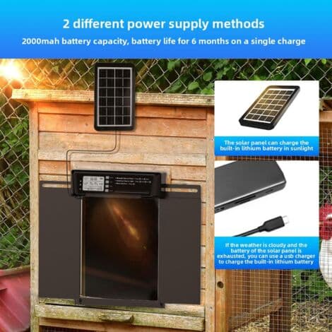 Extra stor automatisk solcellsdriven hönshusdörr – LCD-skärm, fjärrkontroll, ljussensor, timer och klämskydd – 39 x 29
