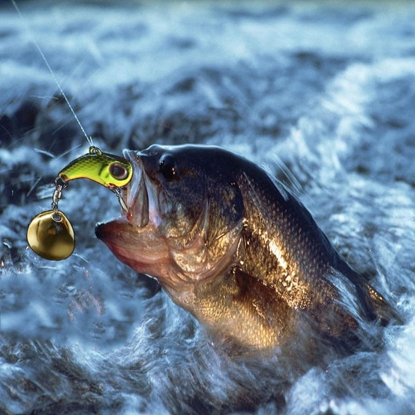 Spinnefisking, fiske, jig-spinner, agn, fiskeutstyr, jig-spinner for abbor og gjedde, 6 stykker