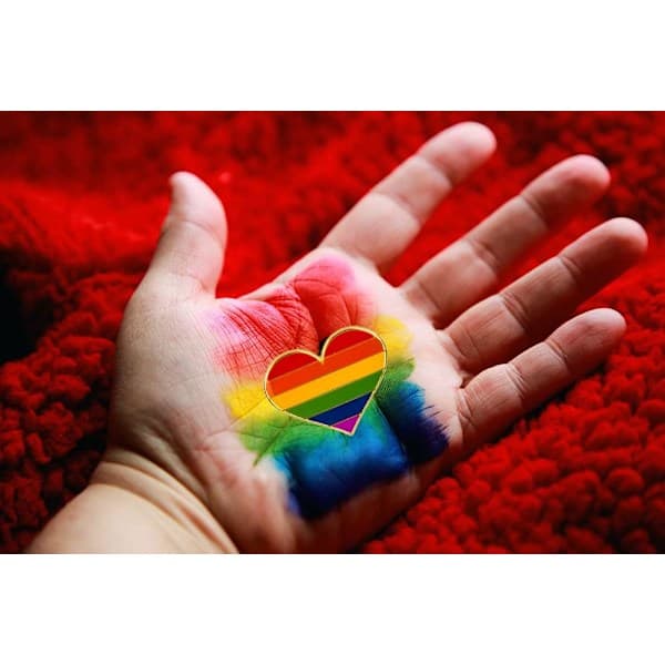 5-pakning Biseksuell pride hjerteformede pins brosjer flaggmerke brosje Rainbow 5pcs