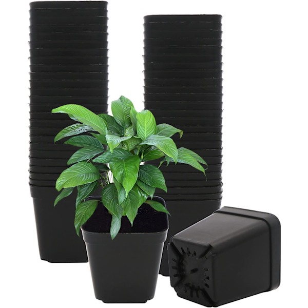 Plastik Firkantede Plantepotter 7cm 50 Stk Sukkulenter Plantepotte Børnehavepotter til Blomsterstart Frøplante, Frøpotte Blomst Plantebeholder