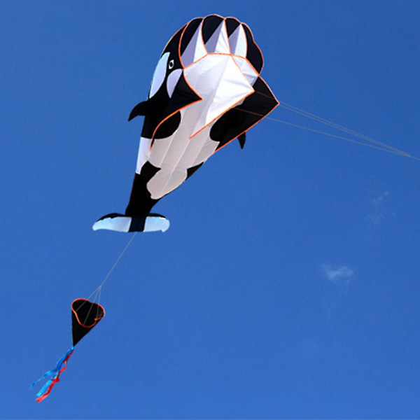 3D Drake Stor Ramlös Mjuk Parafoil Jätteval Flygande Drake