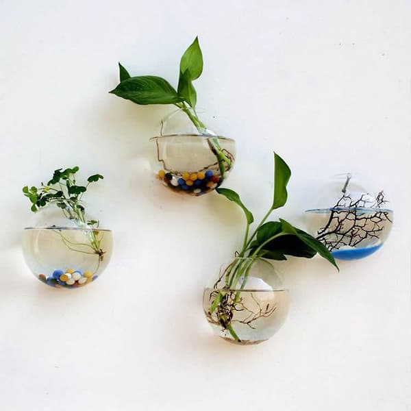 Väggmonterad Glasblomvas Transparent Design Halvrund Vas För Hemmakontor Vardagsrum 10cm