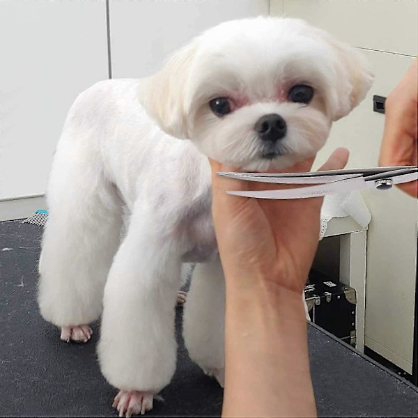 8 Tommer Buede Hundesakse - Professionelle Hundesakse - Kæledyrsplejesakse