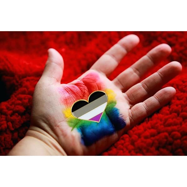 5-pakning Biseksuell pride hjerteformede pins brosjer flaggmerke brosje Pack 5 Asexual