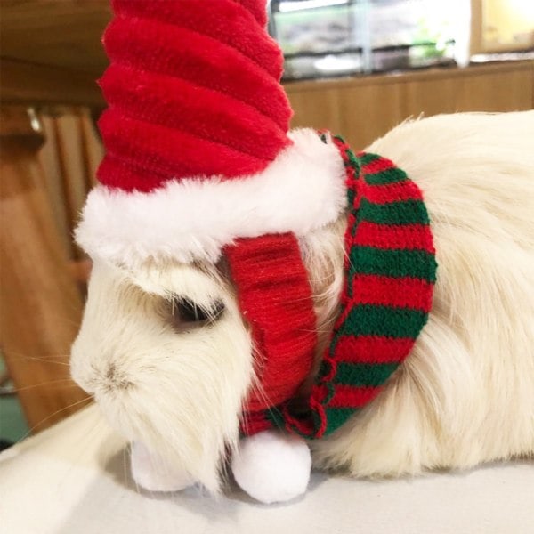Julehatt for kanin med ørevarmere og skjerf - Lizard Santa Hat 03 03 03 3 3