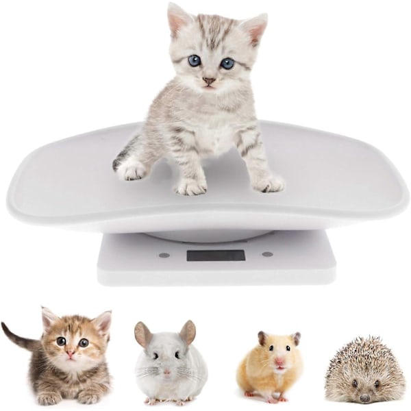 Digital Vægt til Hunde & Katte Op til 10KG, Multifunktionel LCD Display Digital Vægt Dyrevægt