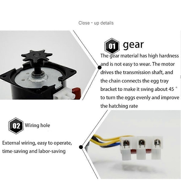 60KTYZ Klopol Permanentmagnet Synkronmotor AC220V 14W 50Hz Mini Växelmotor Låg Hastighet 2.5R/