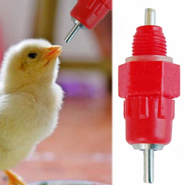 10 Pcs Poultry Drinking Nipples Duck Chicken Hen Feeding Spiral Drinker