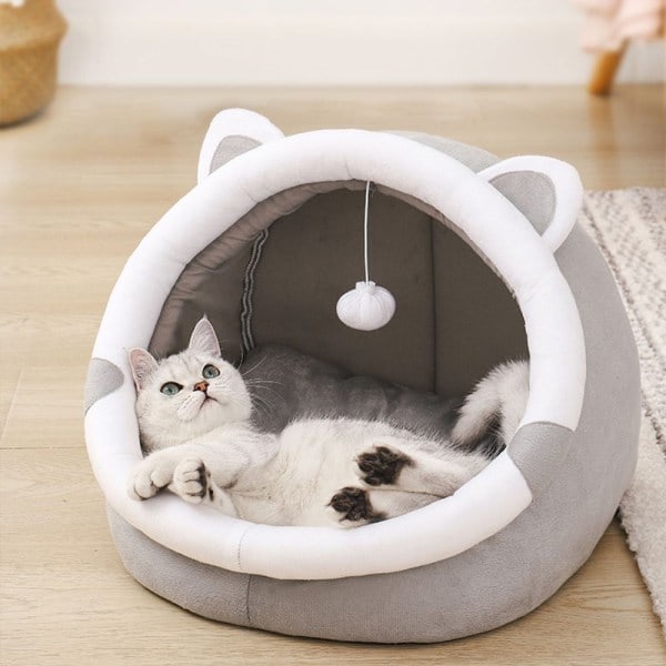 Kattsäng kattkudde kattkorg