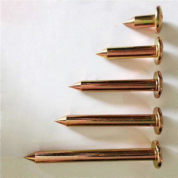 10 stk/sett 3/5/7/8/10 cm Landmålingsspiker i stål Landmålingsmarkør Grensemerke 5cm