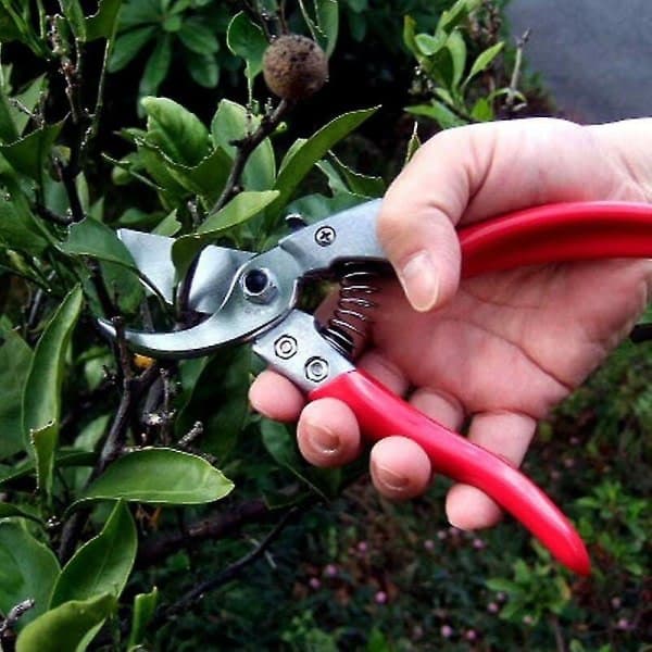 Vs-8z, beskjæresaks, Ars-vs-8xz