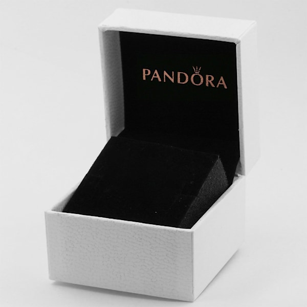 Pandora Sterlinghopeiset korvarenkaat Family Always Surrounded Brilliant Hug 291156C01, sisältää alkuperäisen rasian