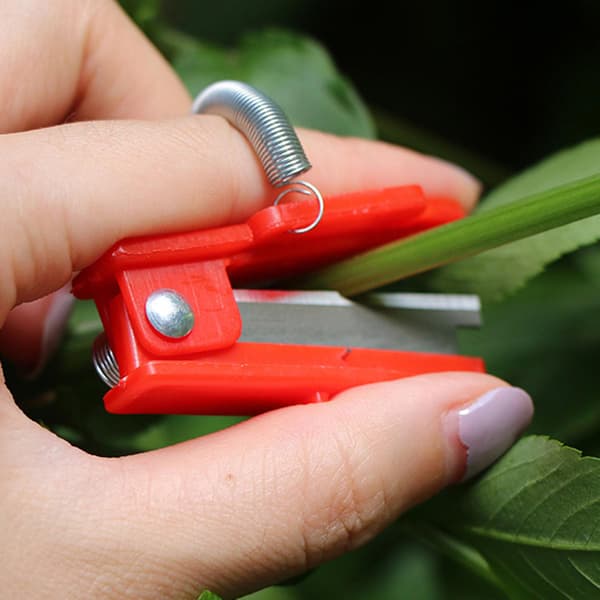 Fruktplockare Grönsaksväxt Tumkniv för Trädgård red 6pcs