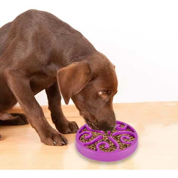 1 st Slowmatningskål för Hund, Långsam Ätningsskål för Mellanhundar, Rolig Pussel Slow Feed Halksäker Interaktiv Blo Purple