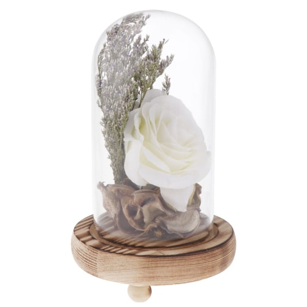Vis frem klokkeklokke kuppel udødelig blomst bevaring hvit vase
