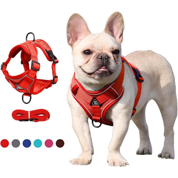 Dog Harness and Leash Set - Triangular Stabilization Ring - 2 Leash Clips - Adjustable Pet Harness - Padded Vest