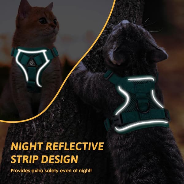Dog Harness and Leash Set - Triangular Stabilization Ring - 2 Leash Clips - Adjustable Pet Harness - Padded Vest