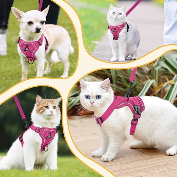 Dog Harness and Leash Set - Triangular Stabilization Ring - 2 Leash Clips - Adjustable Pet Harness - Padded Vest