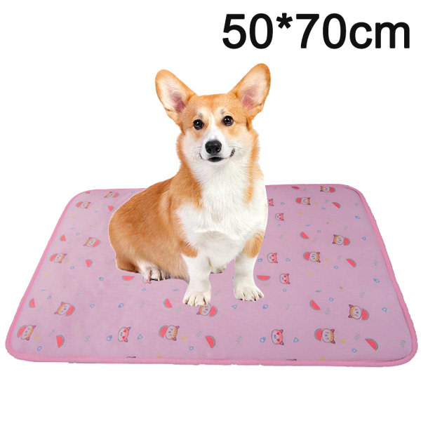 CDQ Pet pad är sval och uppfriskande. Hunddyna är hudvänlig och 50*70cm