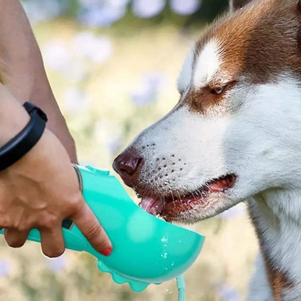 3 i 1 hundvattenflaska, kopp och avfallspåsar Dispenser läckagesäker null none