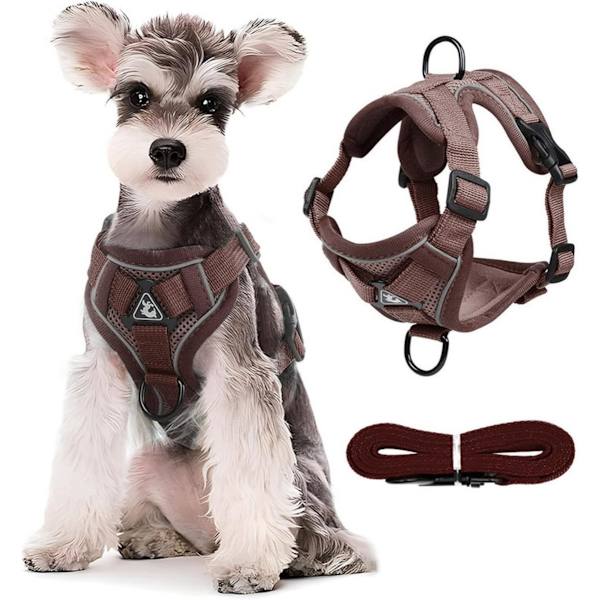 Dog Harness and Leash Set - Triangular Stabilization Ring - 2 Leash Clips - Adjustable Pet Harness - Padded Vest