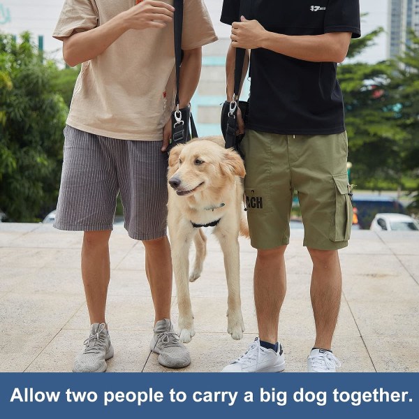 Hundbärsele, nödryggsäck Pet Ben Support & Rehabilita