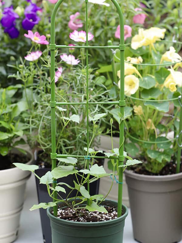 Plant Support for Climbing Roses, Robust Cucumber Trellis for Garden Provides Unwavering Support for Heavy Plants