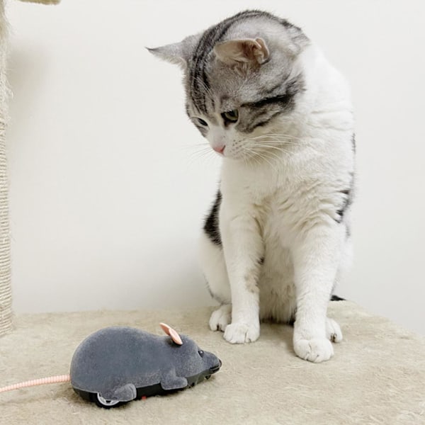 Fjärrkontroll Mus Råtta Möss Elektronisk Leksak för Katt Valp Husdjur brown One-size