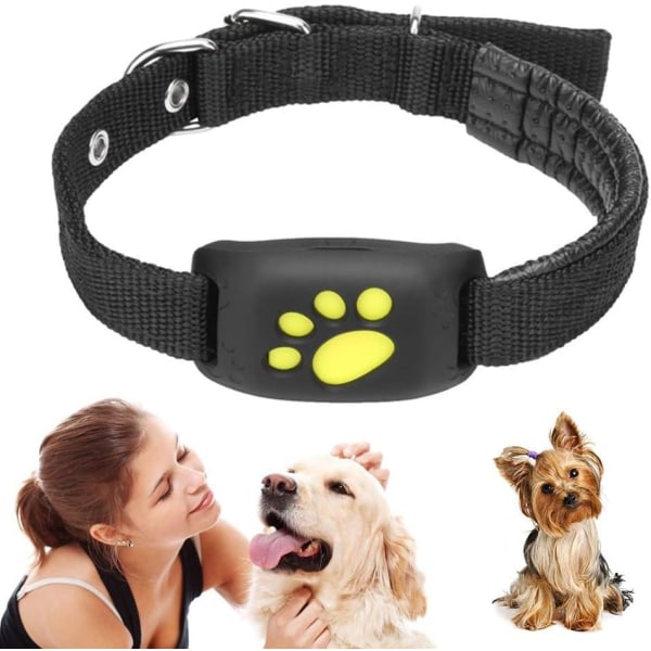 Hund Katt GPS Tracker Pet Finder Pet Tracer Mini Smart Tracker