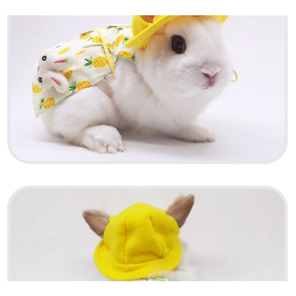 Sällskapsdjur Kanin Kläder Kanin Katt Lop Kanin Dekorasjoner Kostymer Resebilder Golden Pineapple Full Set (M) CDQ