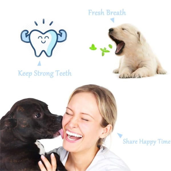 Professionella tandvårdsverktyg, tandavskiljare och tandapa för hundar