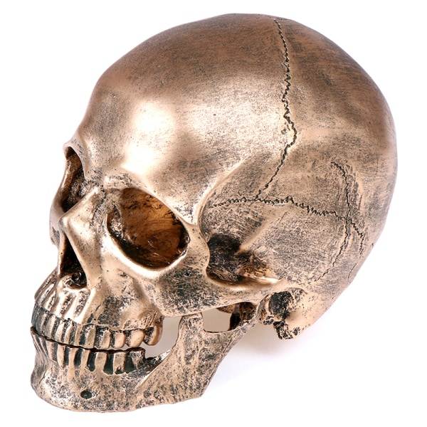 Menneskelig Bronze Resin Kranie Model Halloween Realistisk 1:1 Statue Guld One Size