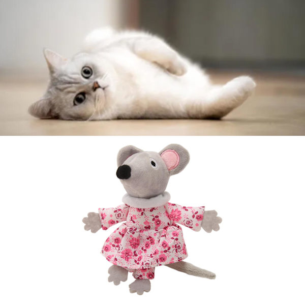 Catnip Leksak för Katter, Interaktiv Tugg Leksak för Husdjur, Bittålig, Minskar Uttråkning, Tugg Leksak för Katter Pink