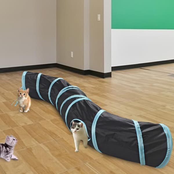 Kattetunnel - Kattetunnel - Kattelegetunnel
