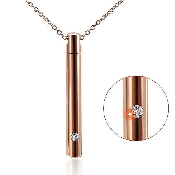 Husdjursurna Titanstål Minimalistisk Parfymhänge Halsband Memorial Ashes Förvaringsflaskor Modesmycken Rose Gold