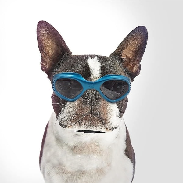 Vikbara husdjursglasögon, Uv-beskyttelsessolglasögon for husdjur