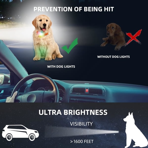 LED-lampa för hundhalsband, uppladdningsbar LED-lampa