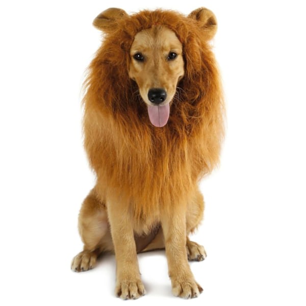 Lejonman Peruk Hund Katt Halloween Kläder Fancy Cosplay SQBB