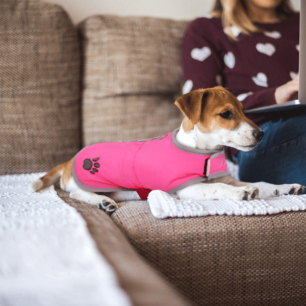 Kallvädershundfrakker Loft Vendbar Vinter Fleece Hundevest