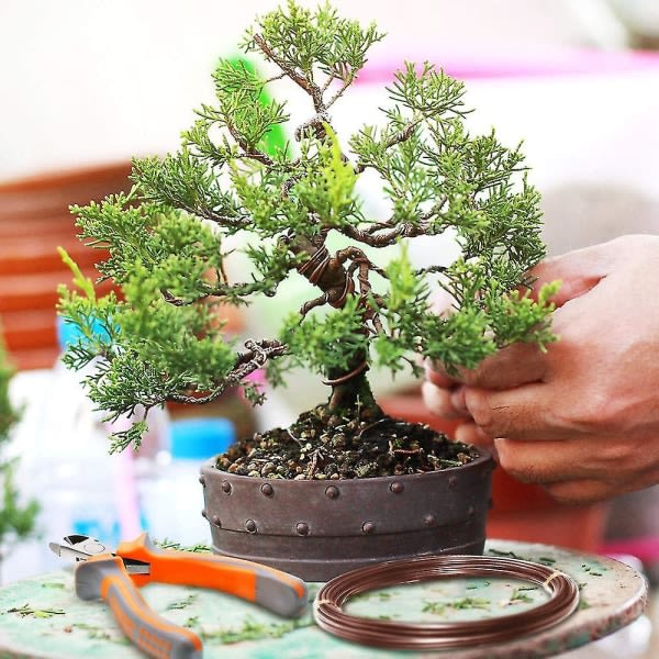 Bonsai träningswire, bonsai modellering aluminiumtråd (1 st) 3,0 mm 3.0mm