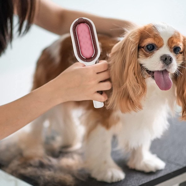 Katto-och hundborste, husdjurskam, hårborttagningsborste för husdjur, hund- och kattvårdstillbehör (långt hår, rosa)