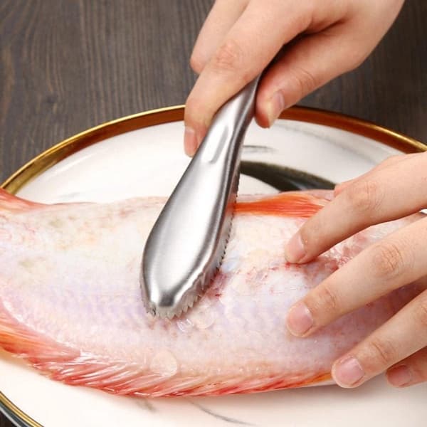 Fish Scraper - Fish Descaler - Scale Remover - Stainless Steel - Fish Scale Scraper - Fish Scale Brush - Fish Scale Remover