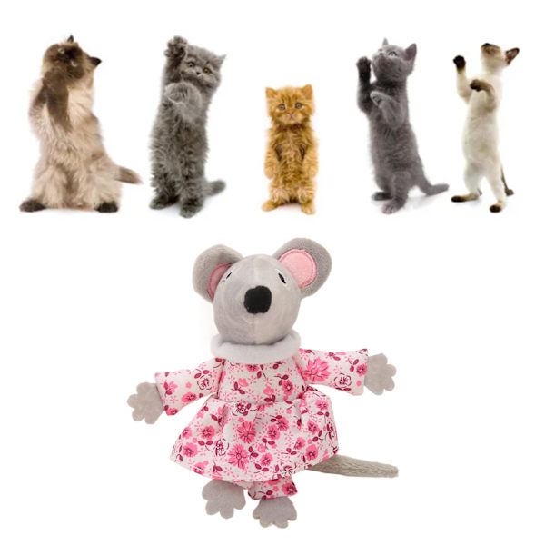 Catnip Leksak för Katter, Interaktiv Tugg Leksak för Husdjur, Bittålig, Minskar Uttråkning, Tugg Leksak för Katter Pink