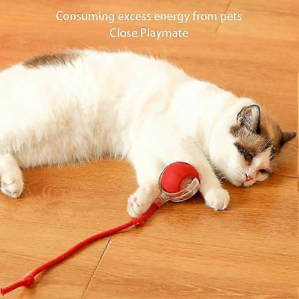 Automatisk Kattelegetøj med Hindringsundvigelse, Interaktiv Legetøj til Katte, Grøn
